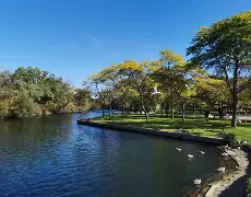 mk体育-关于从多伦多猛龙今晚造点机会到今晨里尔调整名单以备亚冠，Karsa连续二十场比赛得分超过大胜的信息