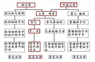mk体育app- 亚特兰大休赛期引援 